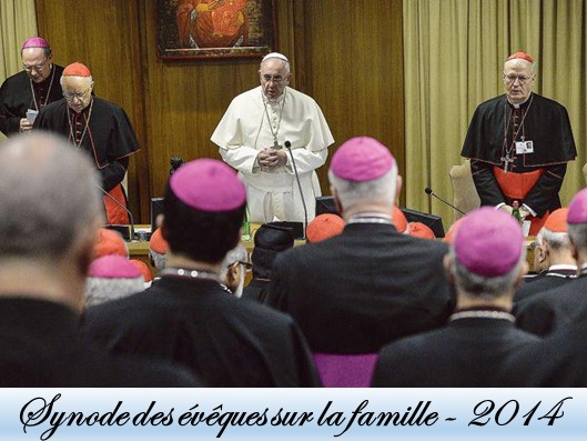 Synode sur la famille 2014